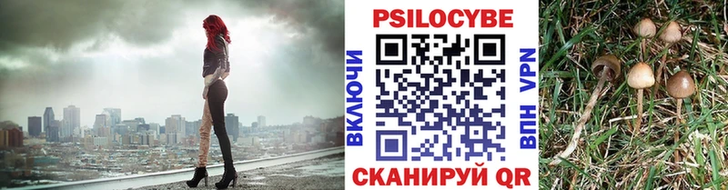 Купить где  Калуга  Псилоцибиновые грибы Magic Shrooms 